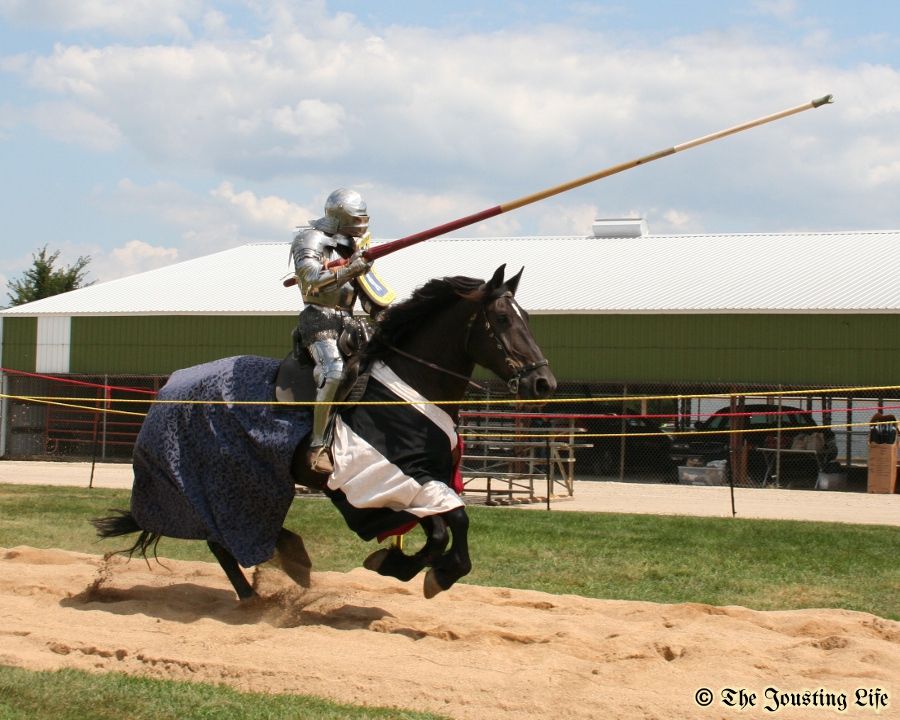 The Jousting Life The Jousting Horses of "The Grand Tournament of St